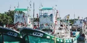 南北平衡?高雄興達港55億轉型風電專區 「先天不良」恐成蚊子專區