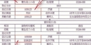 地王林堉璘的帝寶曾遭查封