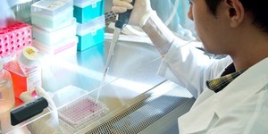 1根頭髮的商機 18家企業共組聯盟