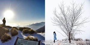 烏來、陽明山都下雪! 四大名山寒流追雪必訪必拍