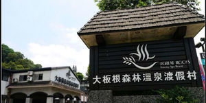 謝金河:大板根的一頁滄桑