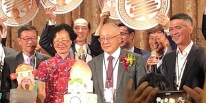 謝金河:渾然天成中的大師