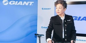 共享單車揮劍、歐盟再補刀 台資單車品牌浴血求生