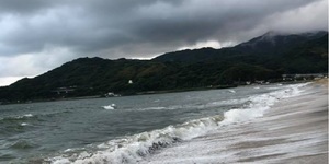 謝金河:我和我自己的腳印