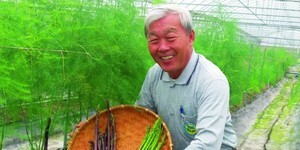 夢幻蘆筍 餐廳入菜的旬味佳肴