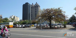 高雄房市熱 房仲業台灣房屋3月成交高市呈現價量齊揚