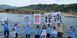 催生「刺網實名制」落實公民參與海灣保育區 基隆市政府管制刺網帶頭做起