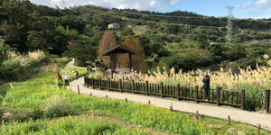 謝金河:木柵有個很棒的後花園