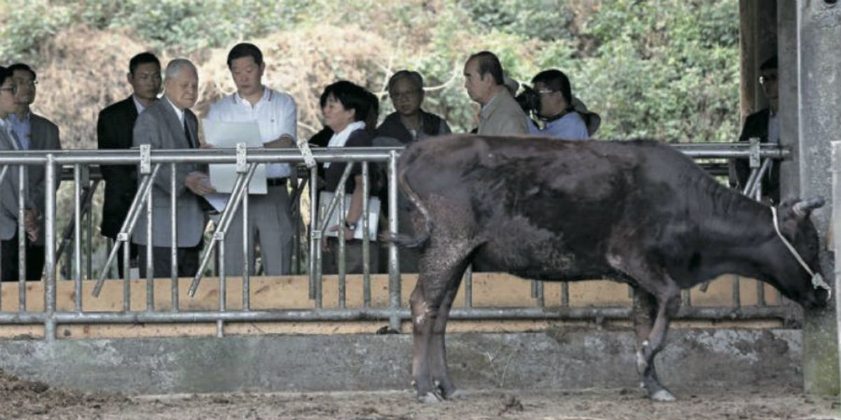 李登輝的養牛夢只差最後一哩路 財訊 掌握趨勢投資未來 最懂投資的財經媒體