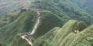 謝金河:抹茶山今天遊客爆衝!