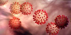 CDC示警:美第二波疫情更具破壞力、恐跟流感同時來襲