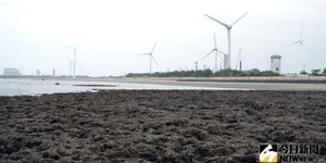 重申堅定廢核 民團聯合聲明:勿讓藻礁成核四重啟工具