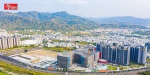 千人排隊抽籤、還要10萬支票擁有購買權!台南、台中房市為何「愈打愈熱」?