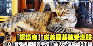 「鋼鐵廠」成美國基建受惠股!Q1營收挑戰強勢季增,主力卡位急搶5千張!