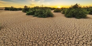 2060年台灣恐無冬天!暖化加劇,全世界都在推「減碳任務」 哪些企業受影響?