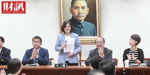 民進黨團是作戰部隊還是作亂部隊?小英的國會熱線 要靠親信綠委傳達意志救經濟上上策